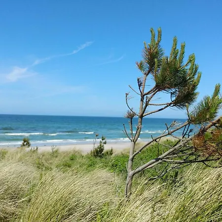7 Person Holiday Home In Rorvig Nyaraló *