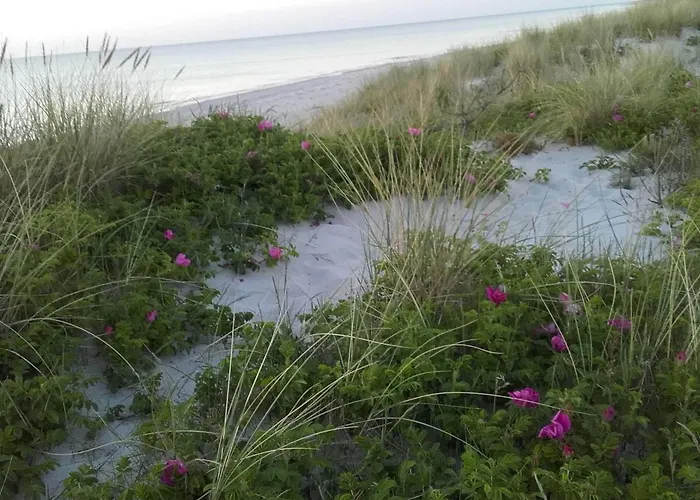 Cozy Retreat In Haven-by Traum Prázdninový dům